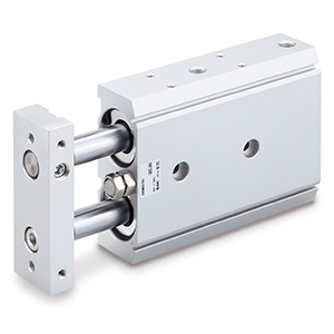 SMC CXS2 Dual Rod Cylinder